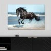"Black Horse" Megapap painting on canvas digital printing 100x70x3cm.