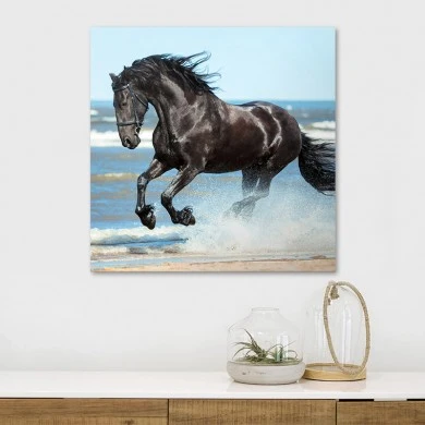 "Black Horse" Megapap canvas painting digital printing 60x60x3cm.