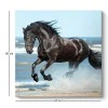 "Black Horse" Megapap canvas painting digital printing 60x60x3cm.