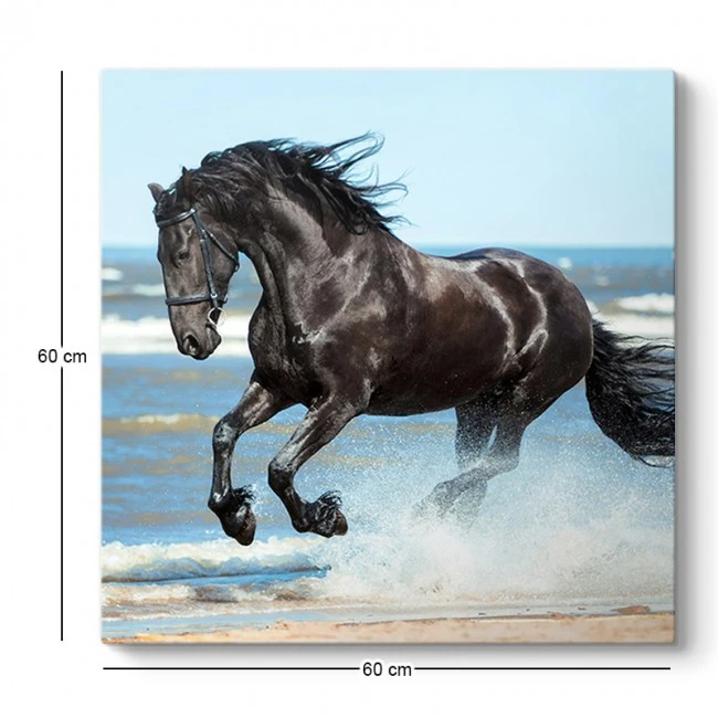 "Black Horse" Megapap canvas painting digital printing 60x60x3cm.