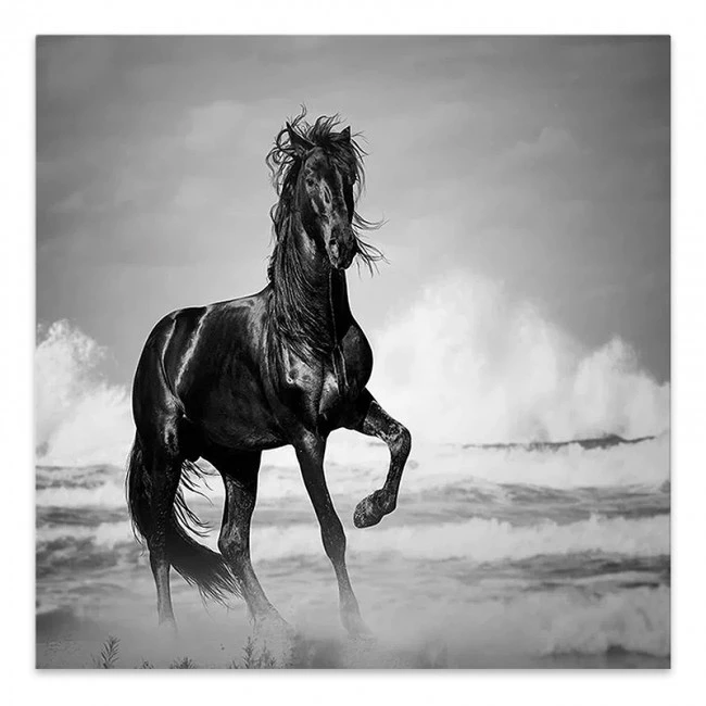 "Black Horse" Megapap painting on canvas digital printing 60x60x3cm.