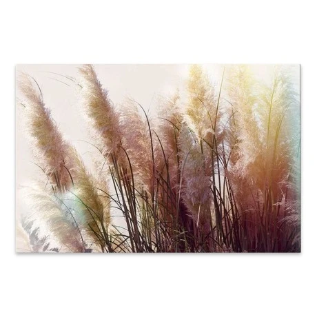 "Soft Pampas" Megapap painting on canvas digital printing 125x80x3cm.