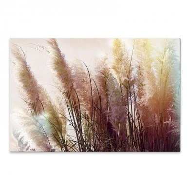 "Soft Pampas" Megapap painting on canvas digital printing 90x60x3cm.
