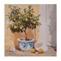 PLANT ΠΙΝΑΚΑΣ ΣΕ ΤΥΠΩΜΕΝΟ ΚΑΜΒΑ 60Χ60ΕΚ