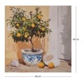 PLANT ΠΙΝΑΚΑΣ ΣΕ ΤΥΠΩΜΕΝΟ ΚΑΜΒΑ 60Χ60ΕΚ