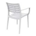 ΑΡΤΕΜΙΣ WHITE ΠΟΛΥΘΡΟΝΑ ΠΟΛ/ΝΙΟΥ - 20.0332