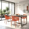 ΑΙΡ XL ORANGE(Σ4)ΠΟΛΥΘΡΟΝΑ ΠΟΛ/ΝΙΟΥ - 20.0358