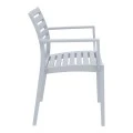 ΑΡΤΕΜΙΣ SILVER GREY ΠΟΛΥΘΡΟΝΑ ΠΟΛ/ΝΙΟΥ - 20.0327