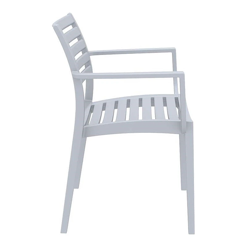 ΑΡΤΕΜΙΣ SILVER GREY ΠΟΛΥΘΡΟΝΑ ΠΟΛ/ΝΙΟΥ - 20.0327
