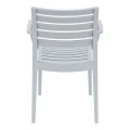 ΑΡΤΕΜΙΣ SILVER GREY ΠΟΛΥΘΡΟΝΑ ΠΟΛ/ΝΙΟΥ - 20.0327