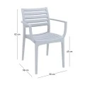 ΑΡΤΕΜΙΣ SILVER GREY ΠΟΛΥΘΡΟΝΑ ΠΟΛ/ΝΙΟΥ - 20.0327
