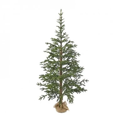 CHRISTMAS GREEN ANGEL PINE 240CM IN JUTE BAG