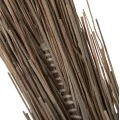 ΔΙΑΚΟΣΜΗΤΙΚΟ ΔΕΝΤΡΟ TROPIC HM4325 τ.ΦΟΙΝΙΚΑ ΑΠΟ MENDONG GRASS 210Yεκ.
