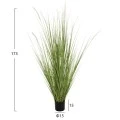 ΔΙΑΚΟΣΜΗΤΙΚΟ ΣΥΝΘΕΤΙΚΟ ΦΥΤΟ HM4017 BRISTLEGRASS ΣΕ ΓΛΑΣΤΡΑ 173Υεκ.