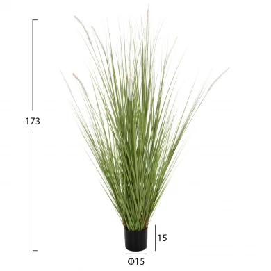 ΔΙΑΚΟΣΜΗΤΙΚΟ ΣΥΝΘΕΤΙΚΟ ΦΥΤΟ HM4017 BRISTLEGRASS ΣΕ ΓΛΑΣΤΡΑ 173Υεκ.