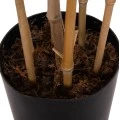 ΔΙΑΚΟΣΜΗΤΙΚΟ ΣΥΝΘΕΤΙΚΟ ΦΥΤΟ HM4737 BAMBOO ΣΕ ΓΛΑΣΤΡΑ 20x95x200Υεκ.