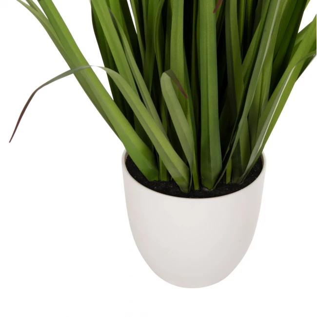 ΔΙΑΚΟΣΜΗΤΙΚΟ ΣΥΝΘΕΤΙΚΟ ΦΥΤΟ HM7999 OPHIUROS ΣΕ ΓΛΑΣΤΡΑ 130Υεκ.