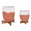 ΓΛΑΣΤΡΕΣ ΣΕΤ 2ΤΜΧ SEON HM4686.08 TERRACOTTA ΣΕ ΛΕΥΚΟ & ΤΕΡΑΚΟΤΑ--TEAK ΒΑΣΗ
