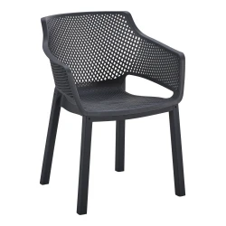 ΠΟΛΥΘΡΟΝΑ ΠΟΛΥΠΡΟΠΥΛΕΝΙΟΥ PEGGY HM6368.02 ΜΑΥΡΟ 60x55x79Υεκ