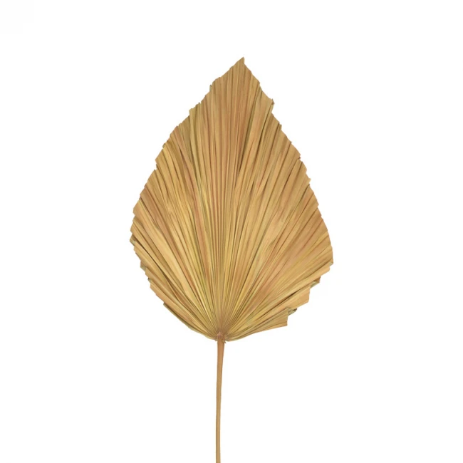 Διακοσμητικό φύλλο Walsy Inart palm leaf σε φυσική απόχρωση Υ135 εκ