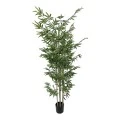 Διακοσμητικό φυτό Bamboo σε γλάστρα Inart πράσινο pp Υ190εκ