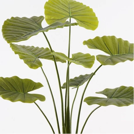Decorative plant in a pot Alocasia Inart green D90x120cm