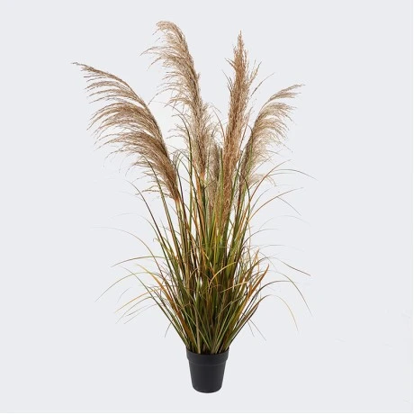 Decorative plant in a pot Bulrush Inart D65x120cm