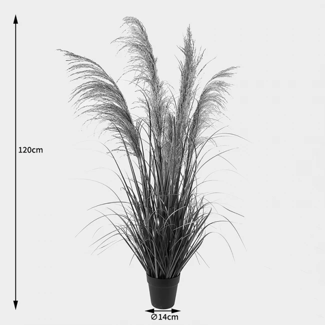 Decorative plant in a pot Bulrush Inart D65x120cm
