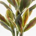 Decorative plant in pot Cycas Inart green D55x80cm