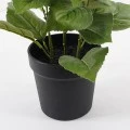 Decorative plant in a pot Hydrangea Inart pink D35x50cm