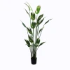 Ornamental plant in pot Lucky I Inart green D80x210cm