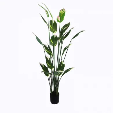 Διακοσμητικό φυτό σε γλάστρα Lucky I Inart πράσινο Φ80x210εκ