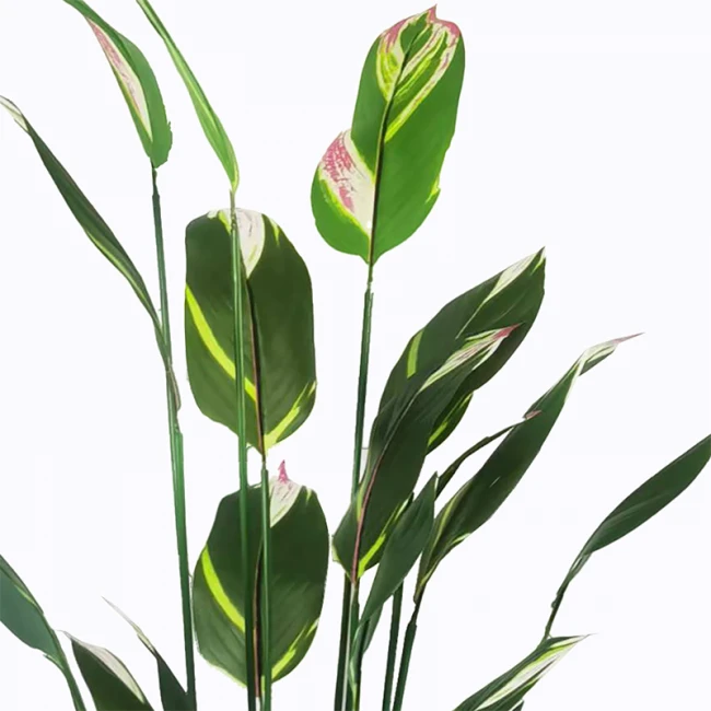 Ornamental plant in pot Lucky I Inart green D80x210cm