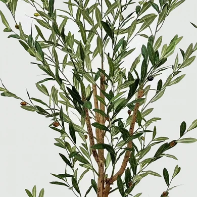 Διακοσμητικό φυτό σε γλάστρα Olia Inart πράσινο 65x55x180εκ
