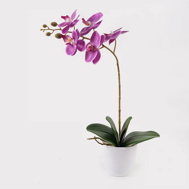 Διακοσμητικό φυτό σε γλάστρα Οrchid Beauty Inart 30x13x46εκ