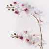 Decorative plant in a pot Orchid White Inart 36x17x65cm