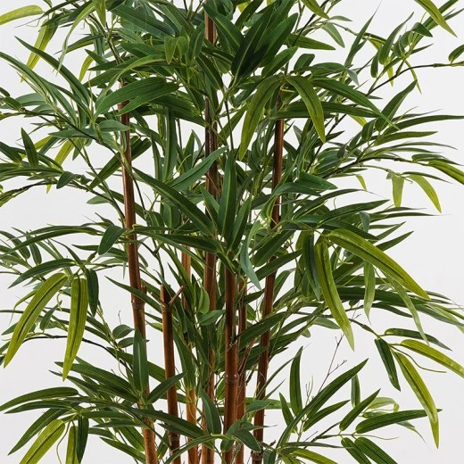 Διακοσμητικό φυτό σε γλάστρα Rhapis Palm Inart πράσινο Φ60x120εκ