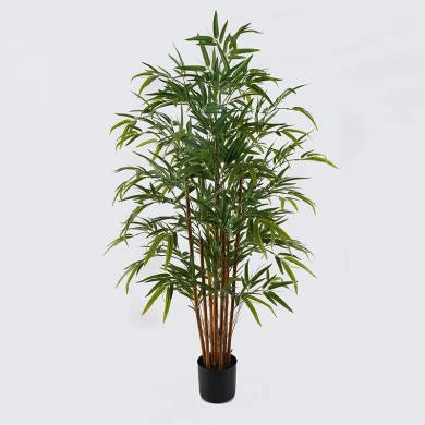 Διακοσμητικό φυτό σε γλάστρα Rhapis Palm Inart πράσινο Φ80x180εκ