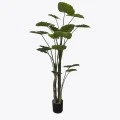 Διακοσμητικό φυτό σε γλάστρα Taro Plant Inart πράσινο Φ90x180εκ