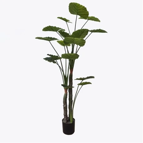 Διακοσμητικό φυτό σε γλάστρα Taro Plant Inart πράσινο Φ90x180εκ