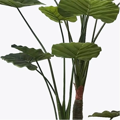 Διακοσμητικό φυτό σε γλάστρα Taro Plant Inart πράσινο Φ90x180εκ