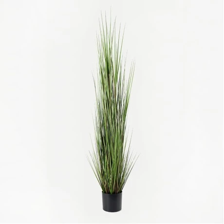 Decorative plant in a pot Boxwood Inart green D46x150cm