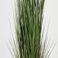 Decorative plant in a pot Boxwood Inart green D46x150cm
