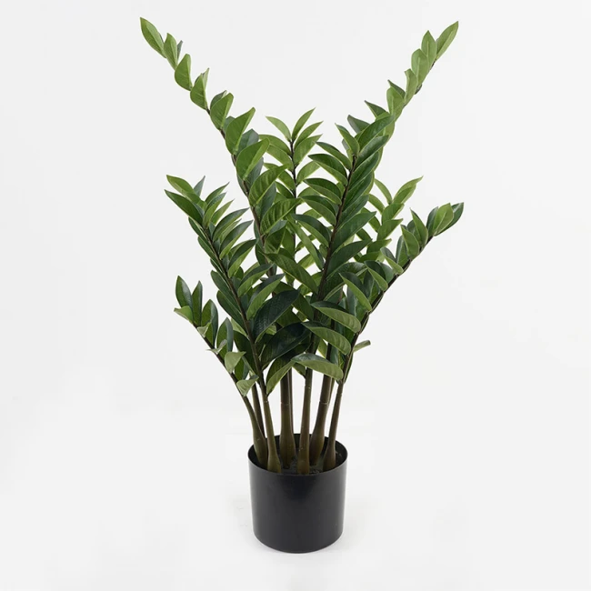 Decorative potted plant Zamia Inart green D52x88cm