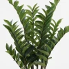 Decorative potted plant Zamia Inart green D52x88cm