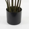 Decorative potted plant Zamia Inart green D52x88cm