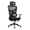 Cadrey pakoworld mesh black manager's office chair 67x64x120-128cm