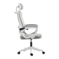 Exeter pakoworld director's office chair white - mesh gray 50x58x119-129cm
