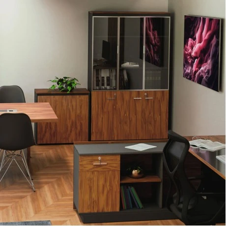 Professional bookcase Oscar pakoworld with doors by glass walnut-anhracite color 120x40x200cm