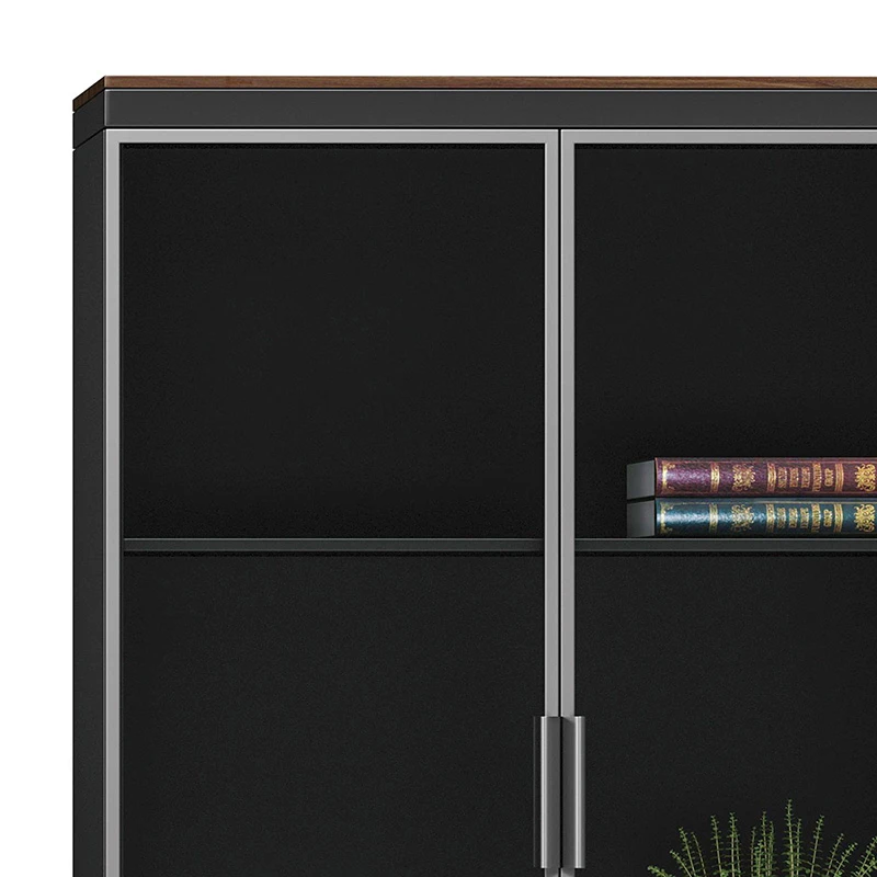 Bookcase Oscar pakoworld with doors by glass walnut-anhracite color 80x40x200cm